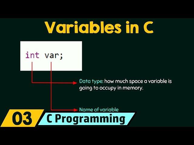 Introduction to Variables