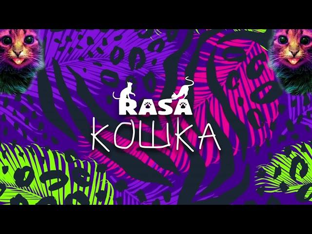 RASA - Кошка (ПРЕМЬЕРА ТРЕКА, 2019)