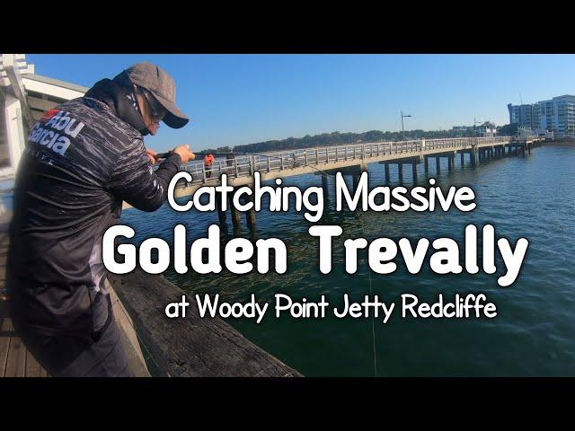 GT at Woody Point Jetty | Redcliffe Fishing