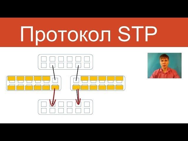 Протокол STP | Курс "Компьютерные сети"