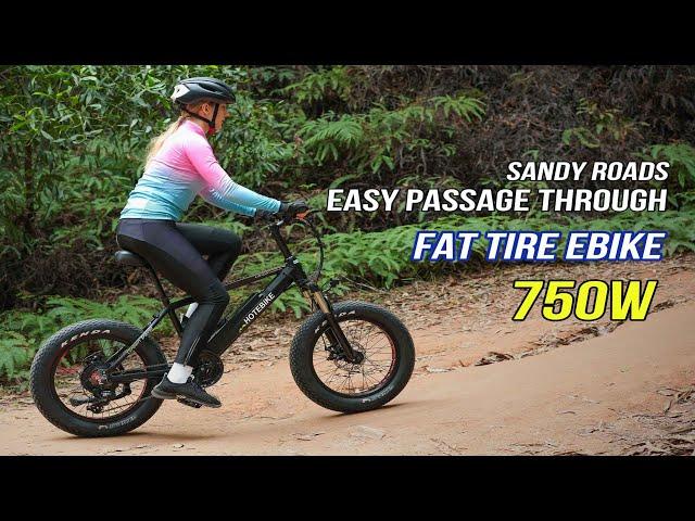 HOTEBIKE 750W Fat Tire Electric Mountain Bike 20" Ebike (A6AH20F)