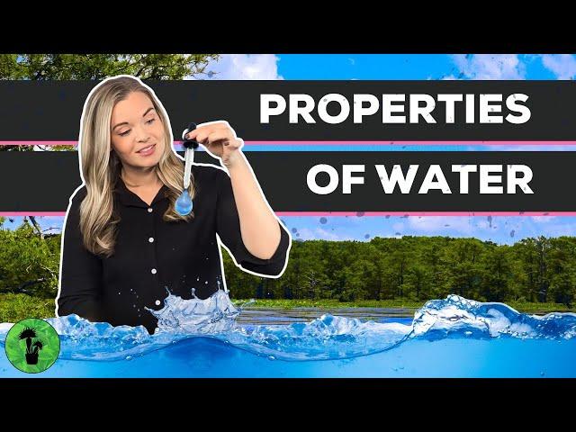 Properties of Water | Cohesion & Adhesion