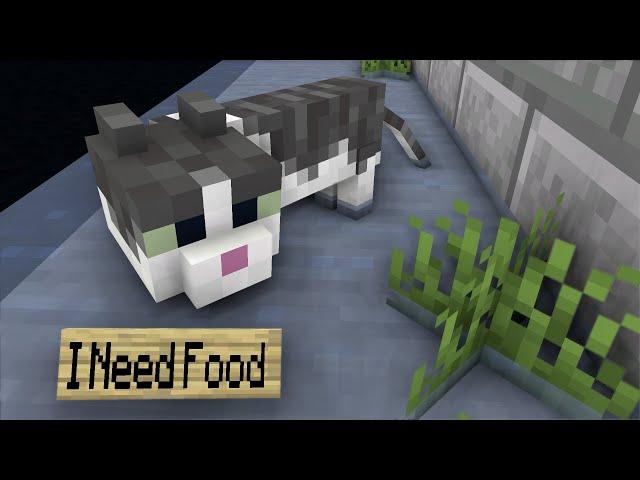 We found a crying wet and hungry kitten lying in the cold water. Minecraft kitten needs help!