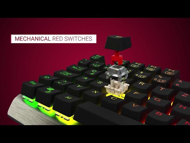 Lioncast LK200 RGB E-Sports Gaming Tastatur - Product Trailer