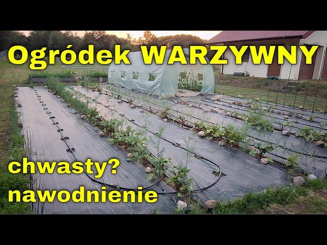 Warzywny OGRÓDEK bez chwastów AGROTKANINA AGROWŁÓKNINA- NAWODNIENIE ogródka i skrzynek podwyższonych