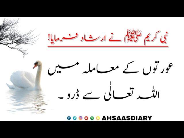 Hadees Sharif | Hadees in Urdu| Hadith of prophet Muhammad | Hades | Hadith | ytshorts | #hadees_pak