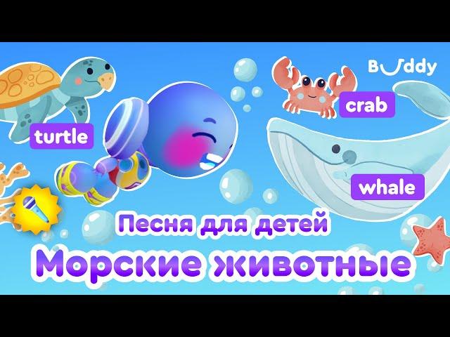 Морские животные | Детские песни на английском языке | Песня для детей | Buddy.ai