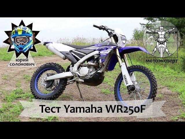 Японский убийца KTM - Yamaha WR250F 2019. Тест