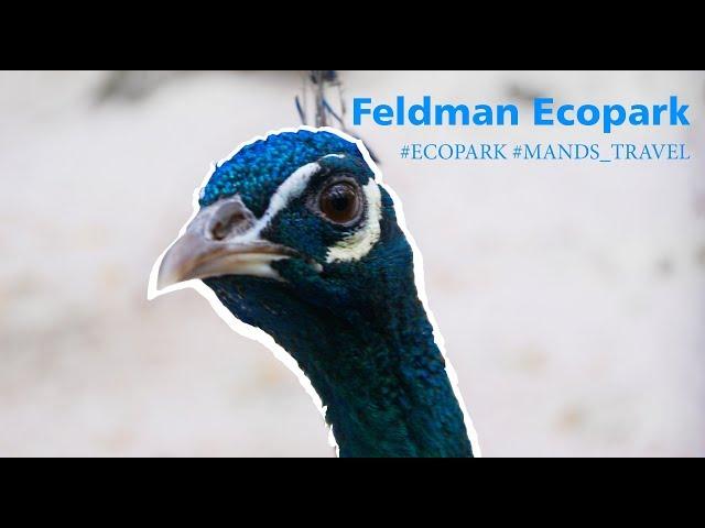 Feldman Ecopark