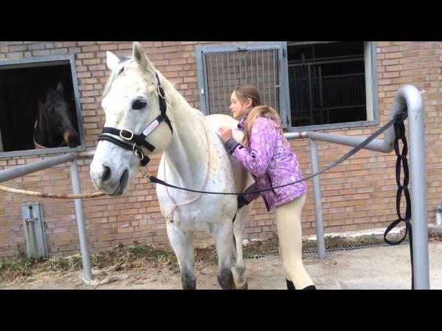 Hanging out with the horses!