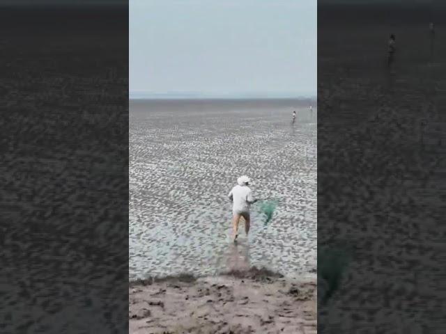 Can he survive the tide? #shorts #shortsfeed  #naturechallenge