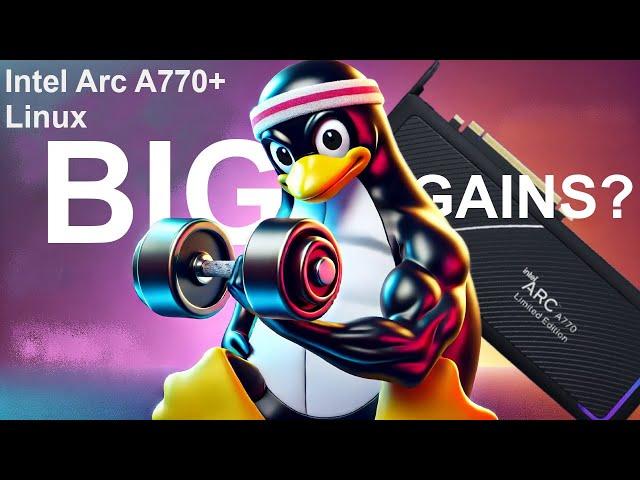 Intel Arc A770 Linux Gaming in the B580 era: Can It Handle These Demanding Games?