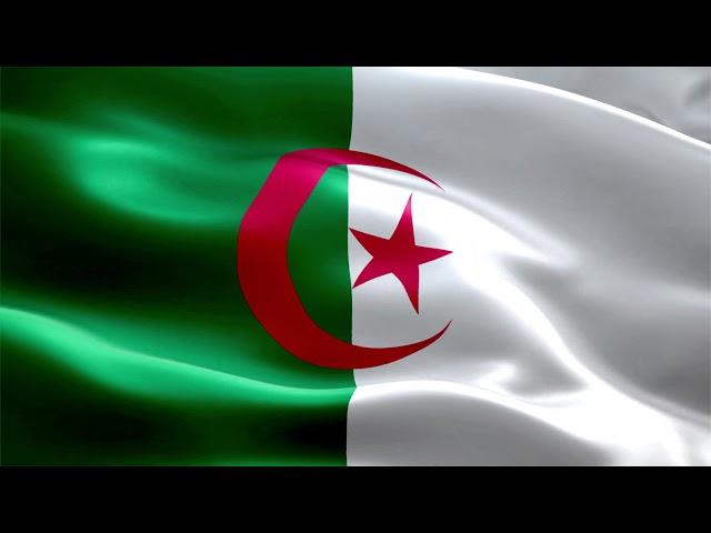 Algeria Flag Animation 4K | Algeria Flag Waving HD | Free Flag Animation | Siddam Bharat