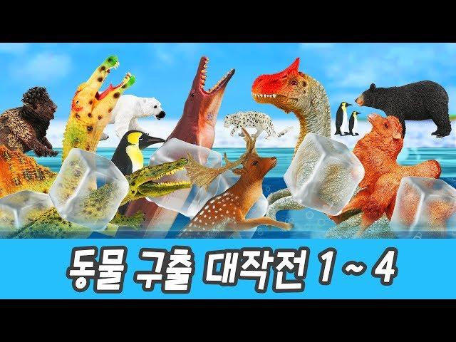 Let animals go home! 1~4ㅣanimals names for children in english, happy 40 minㅣCoCosToy