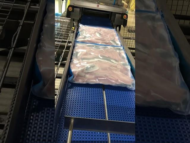 KAPP Staltech Conveyor Belt