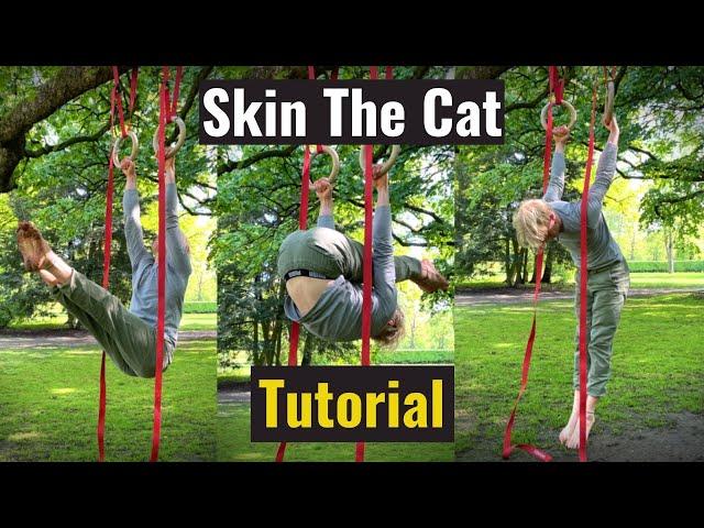 How To Skin The Cat On The Gymnastic Rings | Ring Strength Basics