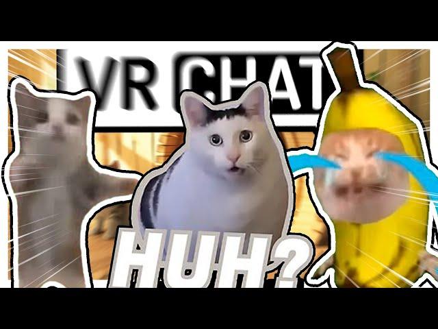 Happy cat memes - VRCHAT Funny Moments