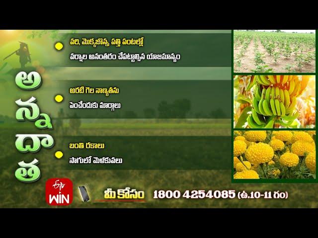 7th September 2024 | Annadata | అన్నదాత | Full Episode | ETV Telugu