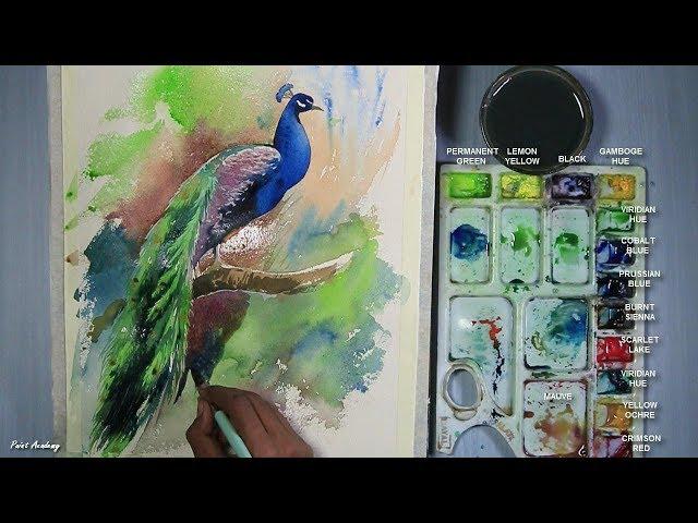 How to Paint A Peacock in Watercolor | step by step