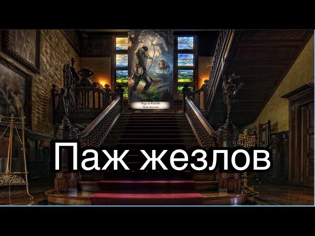 Паж жезлов | смысл и значение изображений (картинок) карт ТАРО Creator Fatum