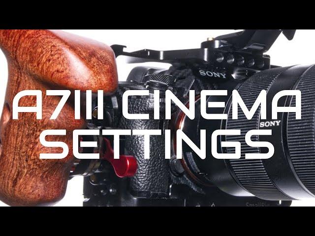 Sony A7III CINEMA - ALL settings for cinematic filmmaking (FW 3.10/2020)