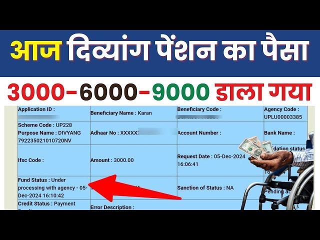 आज दिव्यांग पेंशन का पैसा 3000 डाला गया | UP Divyang Pension Kab Aaegi 2024 | UP Pension New Update