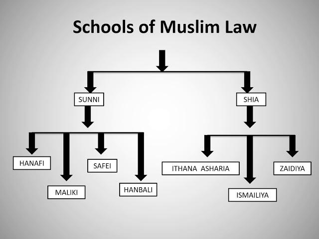 SCHOOLS IN MUSLIM LAW |      #Intro to schools #Sunni schools # Shia schools