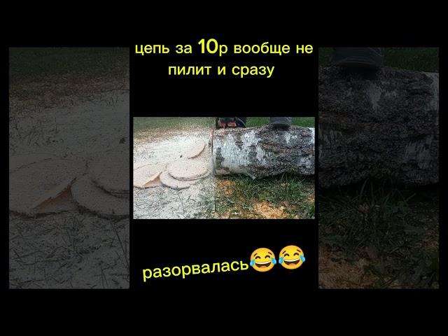 цепь за 3 бакса, в принципе даже пилит.