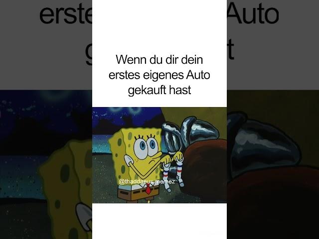 Wenn du dir dein erstes eigenes Auto gekauft hast Spongebob