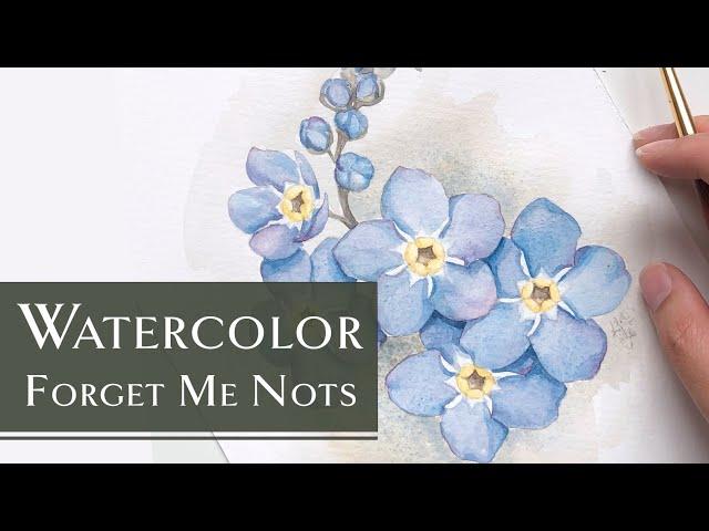 Watercolor Forget Me Not Tutorial | Beginner Color Palette