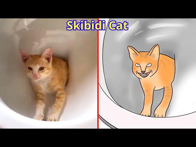 Cat Memes: Skibidi Toilet Cat and Funniest Dogs (updated)  Trending Funny Animals 