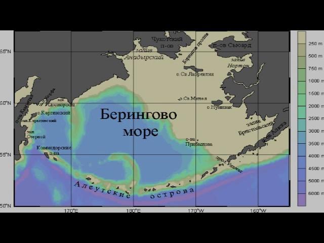 Берингово море (рассказывает океанолог Михаил Флинт)