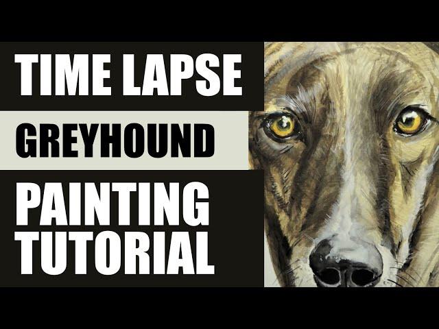 How to Paint a Greyhound: 4 minute watercolor timelapse painting tutorial (HD)
