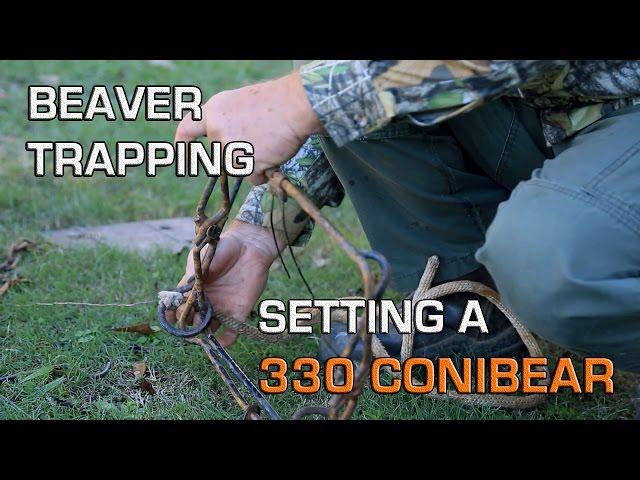 Beaver Traps | Using a 330 Conibear to Catch Beavers | James Hinds