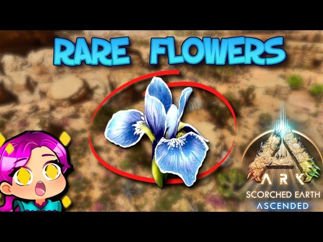 HOW TO FIND RARE FLOWERS - SCORCHED EARTH - Ark Survival Ascended