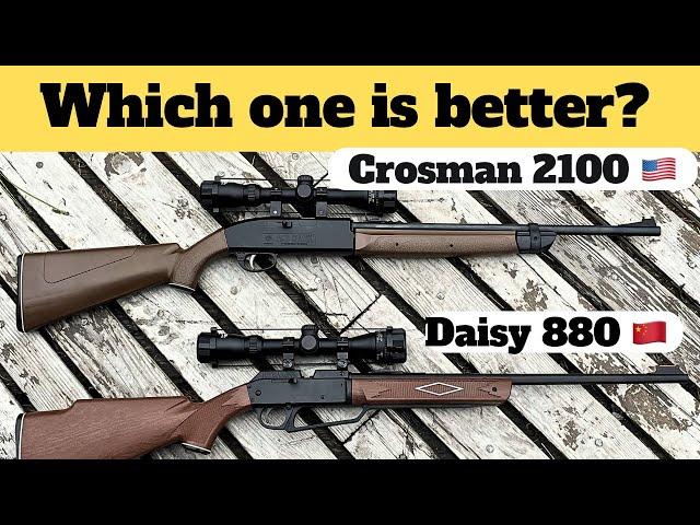 Crosman 2100 vs Daisy 880 - Shooting Test & Review