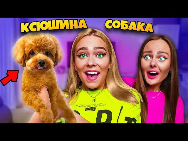 МЫ КУПИЛИ СЕСТРЕ СОБАКУ на 5 000 000 Подписчиков ! *Трогательно*