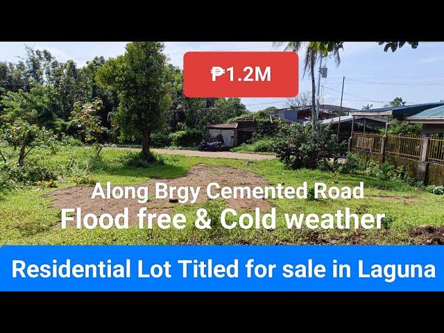 #Vlog245 Farm Lot/Residential Lot Titled for sale ₱1.2M Along Brgy Cemented Road