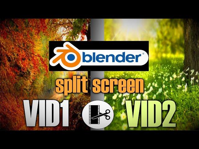 Blender 2.91.2 Video Editing - How to Render Two Videos Side By Side