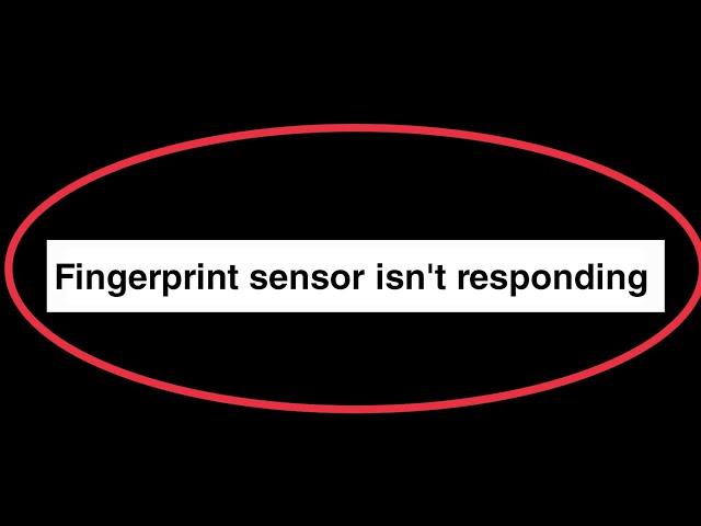 Fix Fingerprint sensor isn't responding An error has occurred with the fingerprint sensor Problem