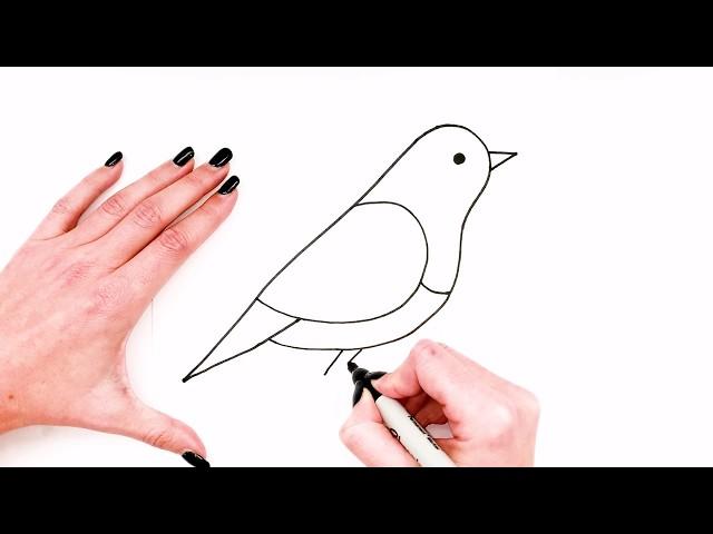 How To Draw A Bird Step By Step | Bird Drawing EASY| Super Easy Drawings For Kids