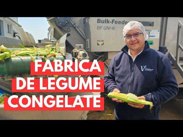 Fabrica unde se congelează legumele românești cumpărate direct de la fermieri