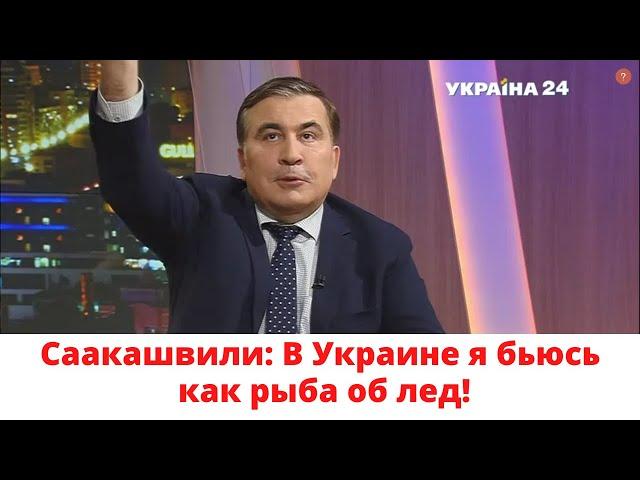 Саакашвили: В Украине я бьюсь как рыба об лед.