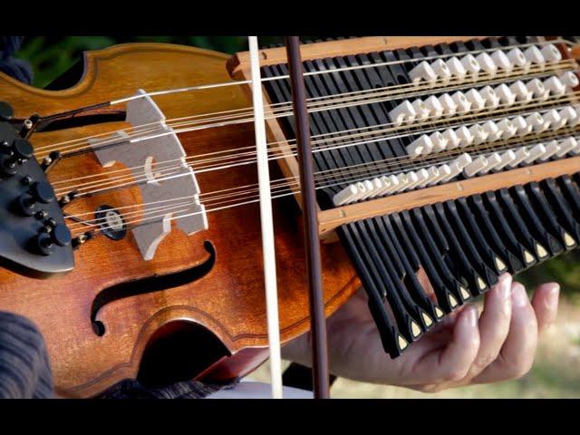 Nyckelharpa - "PALIDORIAN"