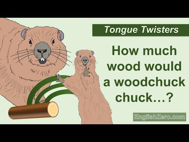 Tongue Twister 6- How Much Wood Would a Woodchuck Chuck if a Woodchuck Could Chuck Wood?