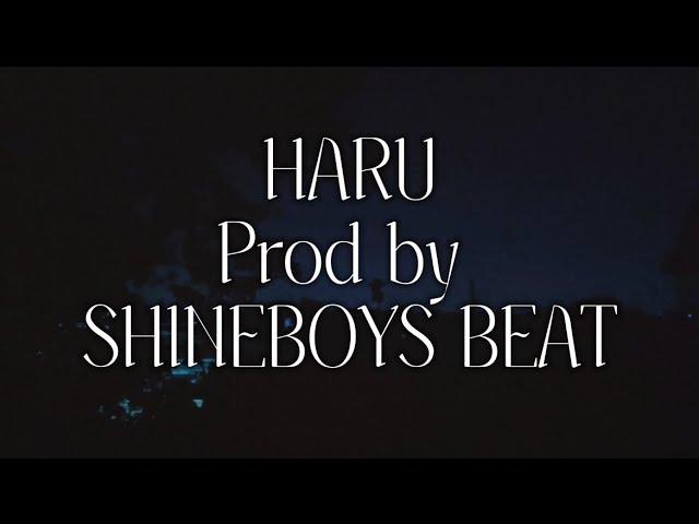 HARU (Prod By SHINEBOYS BEAT) Lyrics Visualizer