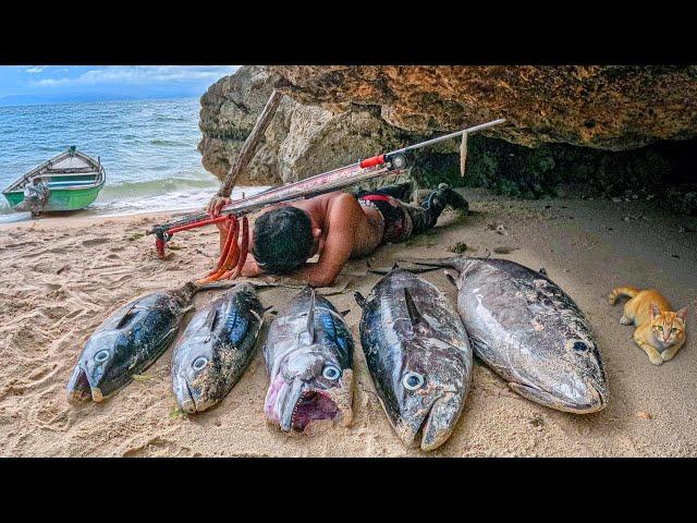 PECAH REKOR ! CAMPING & PANEN IKAN PALING GANAS, TERKUAT DI LAUTAN | Surganya Dogtooth tuna !