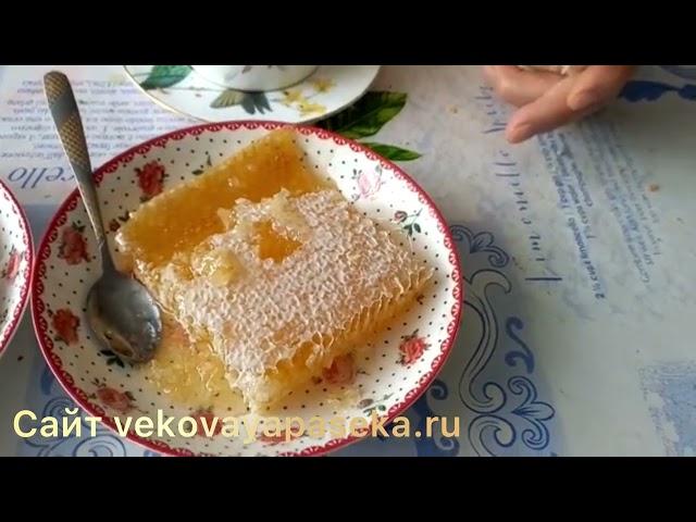 Мед в сотах- чем он так полезен и как его правильно кушать #вековаяпасека