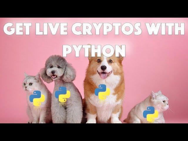 How to get LIVE cryptocurrency data with Python using the Binance API / ERROR FIXING