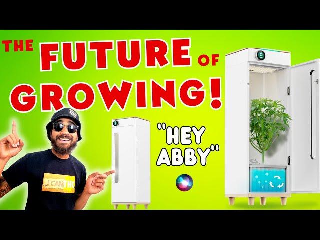 BEST ALL IN ONE Setup?... Is "Hey Abby" Worth it? ... 1 year review!